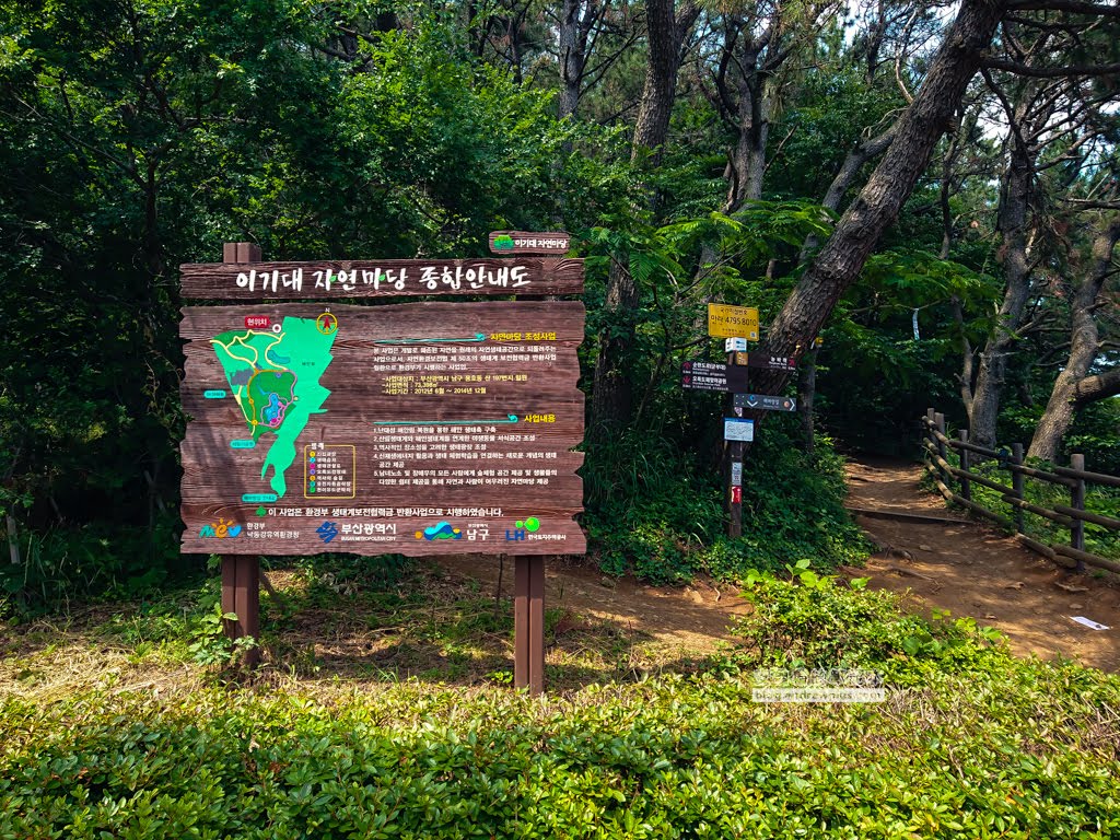二妓台健行,釜山景點,二妓台海岸風景