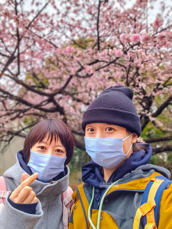 不忍池,上野恩賜公園,東京賞櫻
