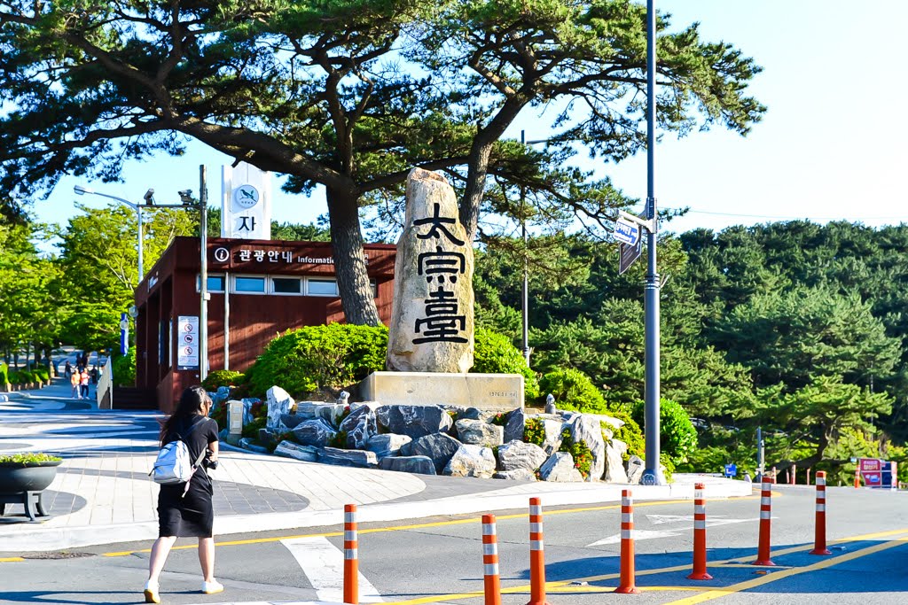 影島太宗台繡球花,太宗寺繡球花,太宗臺紫陽花,釜山影島景點
