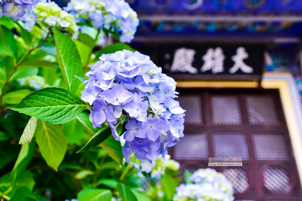 釜山－韓國旅遊,5大必玩景點,5間必吃美食