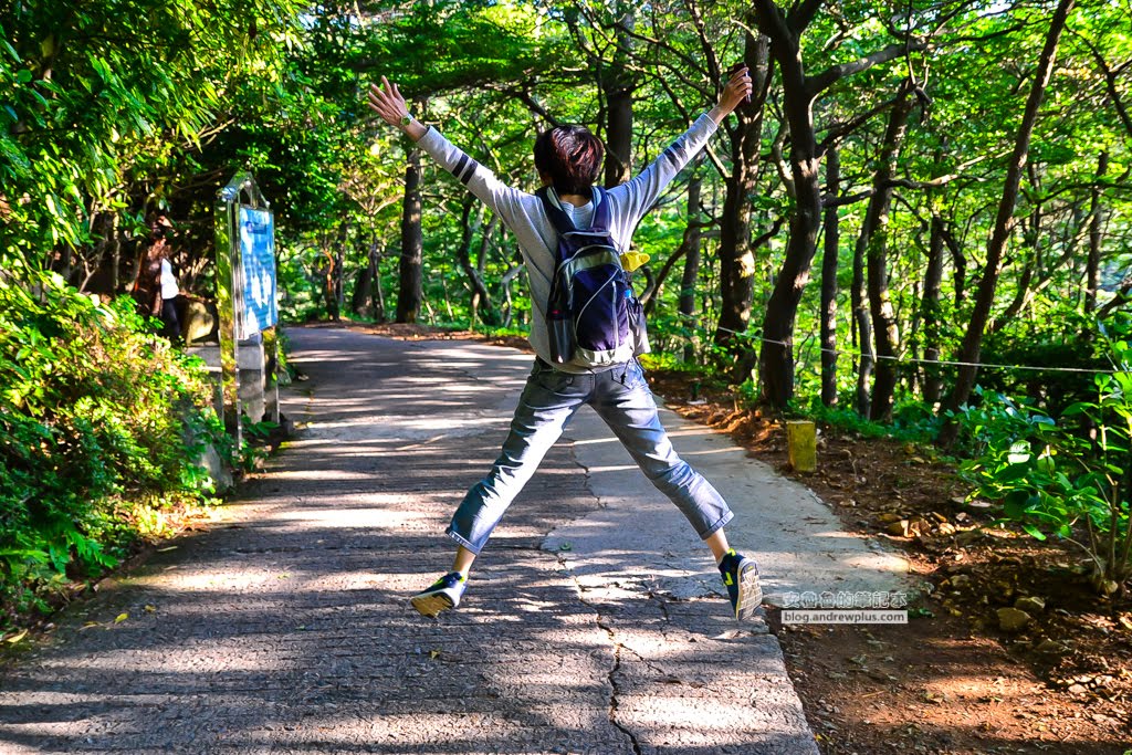 影島太宗台繡球花,太宗寺繡球花,太宗臺紫陽花,釜山影島景點