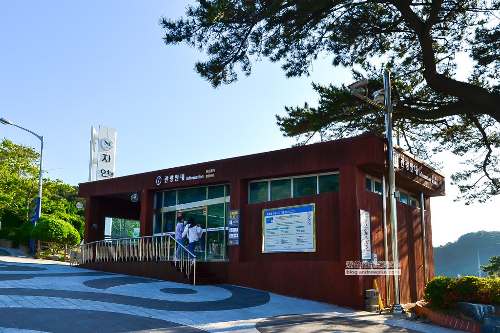 影島太宗台繡球花,太宗寺繡球花,太宗臺紫陽花,釜山影島景點