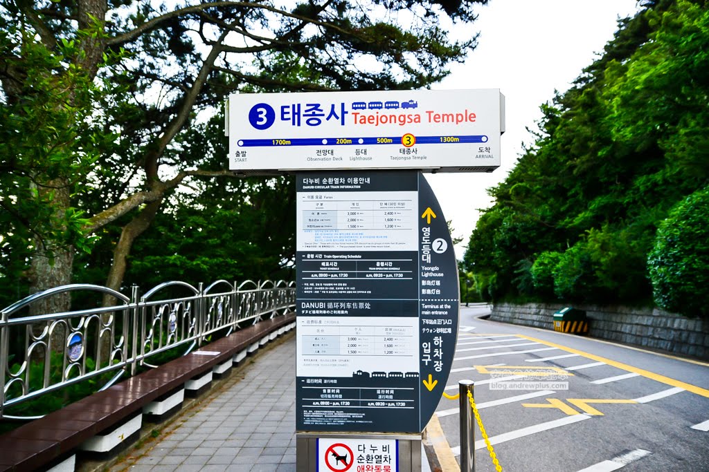 影島太宗台繡球花,太宗寺繡球花,太宗臺紫陽花,釜山影島景點