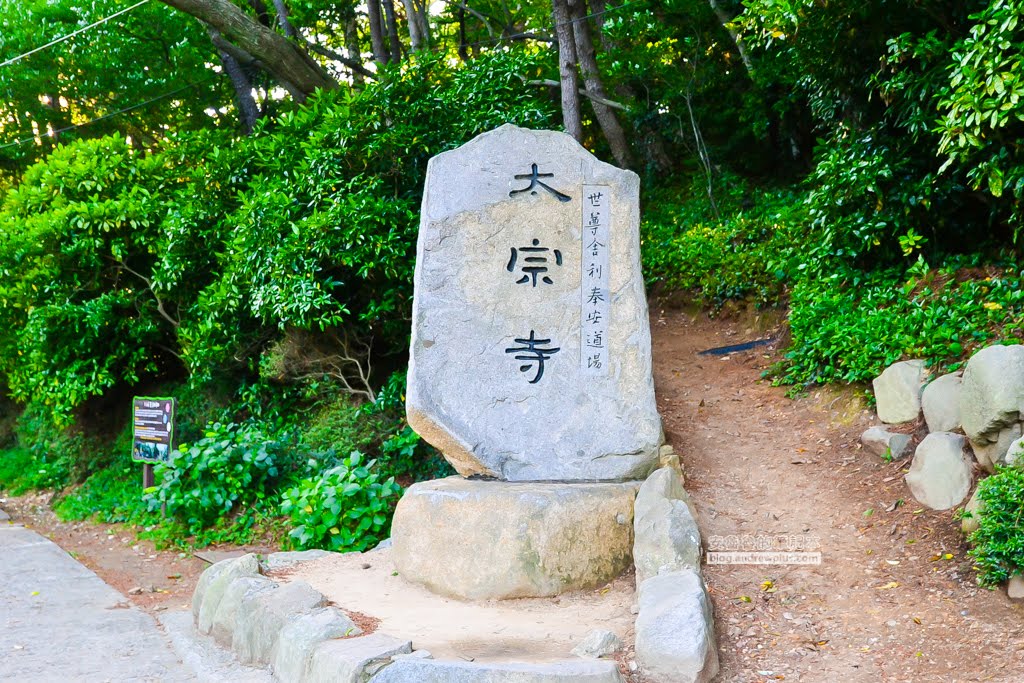 影島太宗台繡球花,太宗寺繡球花,太宗臺紫陽花,釜山影島景點