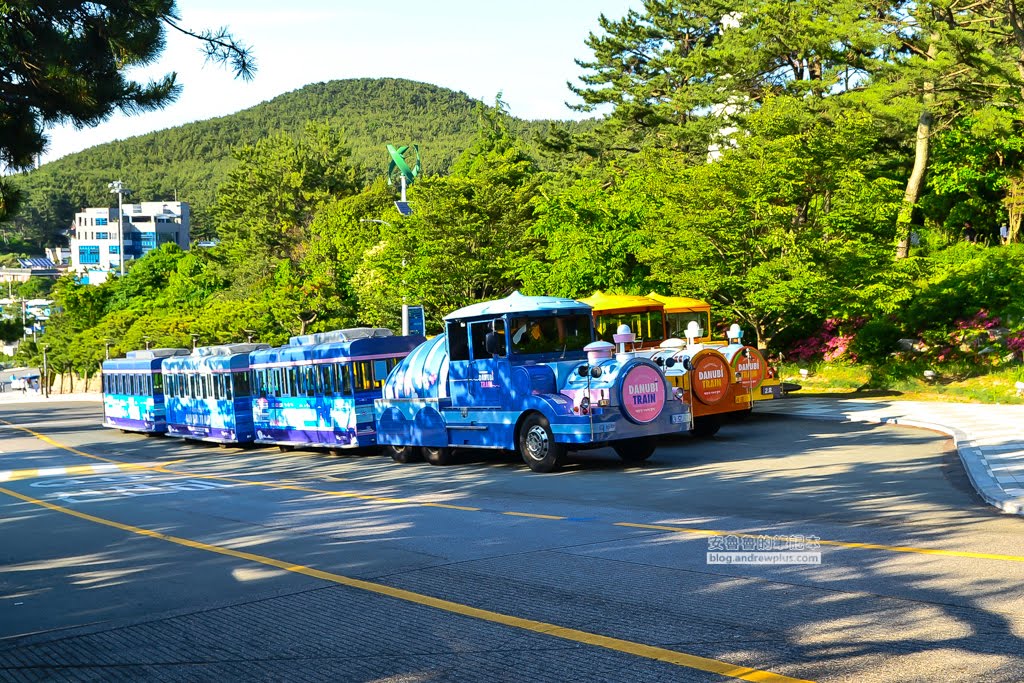 影島太宗台繡球花,太宗寺繡球花,太宗臺紫陽花,釜山影島景點
