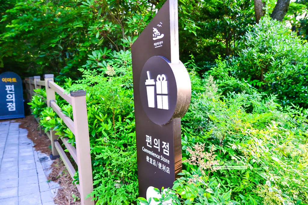 影島太宗台繡球花,太宗寺繡球花,太宗臺紫陽花,釜山影島景點