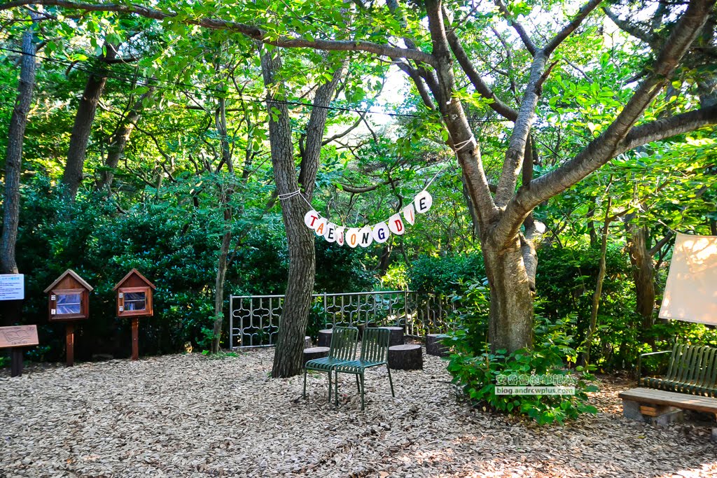 影島太宗台繡球花,太宗寺繡球花,太宗臺紫陽花,釜山影島景點