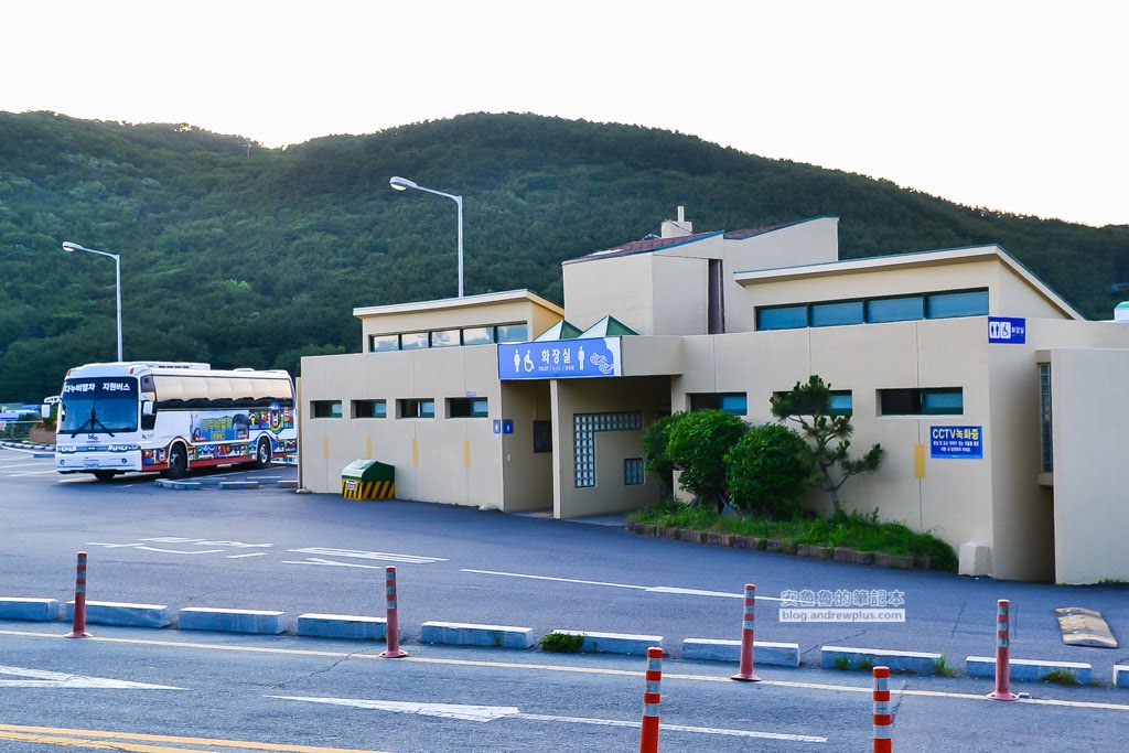 影島太宗台繡球花,太宗寺繡球花,太宗臺紫陽花,釜山影島景點
