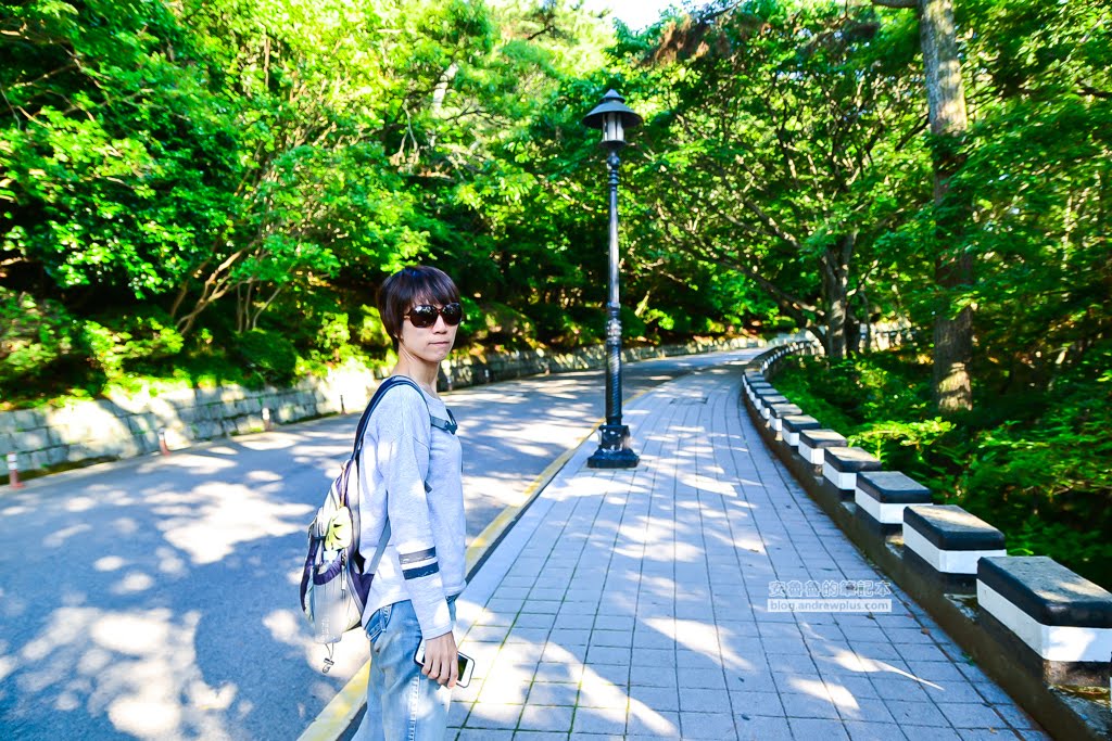 影島太宗台繡球花,太宗寺繡球花,太宗臺紫陽花,釜山影島景點