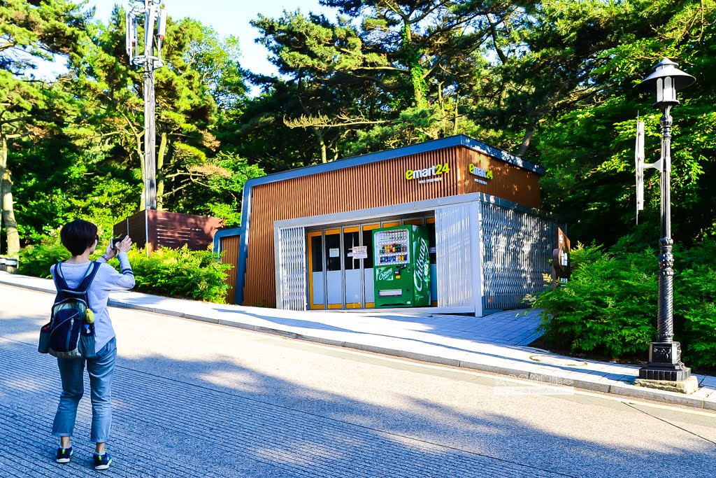 影島太宗台繡球花,太宗寺繡球花,太宗臺紫陽花,釜山影島景點