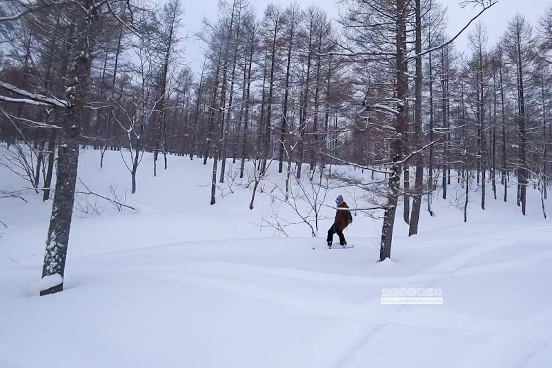 日本東北福島滑雪場Grandeco Snow Resort-初學者天堂,粉雪,雪道寬(自助滑雪交通,雪票,雪道推薦) 49 Grandeco Snow Resort,福島滑雪場,裏磐梯滑雪,豬苗代滑雪場,初學者適合的滑雪場
