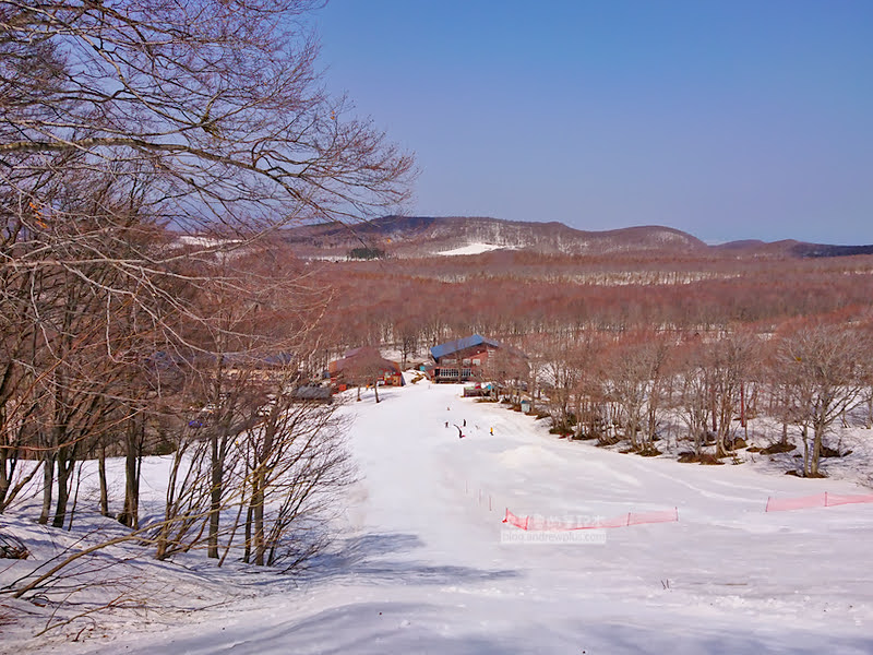 八甲田滑雪場,日本樹冰,八甲田纜車