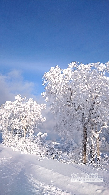北海道自助滑雪|札幌手稻滑雪場:超美雪景距札幌最近滑雪場只要40分鐘,Hokkaido Sapporo Teine 28 自助滑雪,北海道滑雪,札幌雪場,手稻雪場,Sapporo Teine