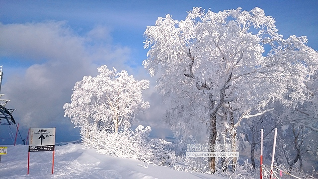 北海道自助滑雪|札幌手稻滑雪場:超美雪景距札幌最近滑雪場只要40分鐘,Hokkaido Sapporo Teine 29 自助滑雪,北海道滑雪,札幌雪場,手稻雪場,Sapporo Teine