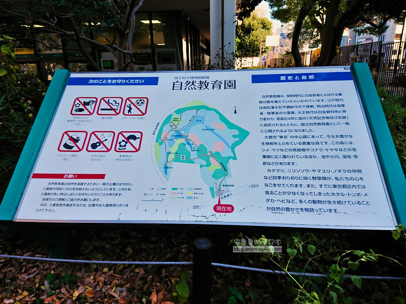 institute of nature study 02 - 國立科學博物館附屬自然教育園