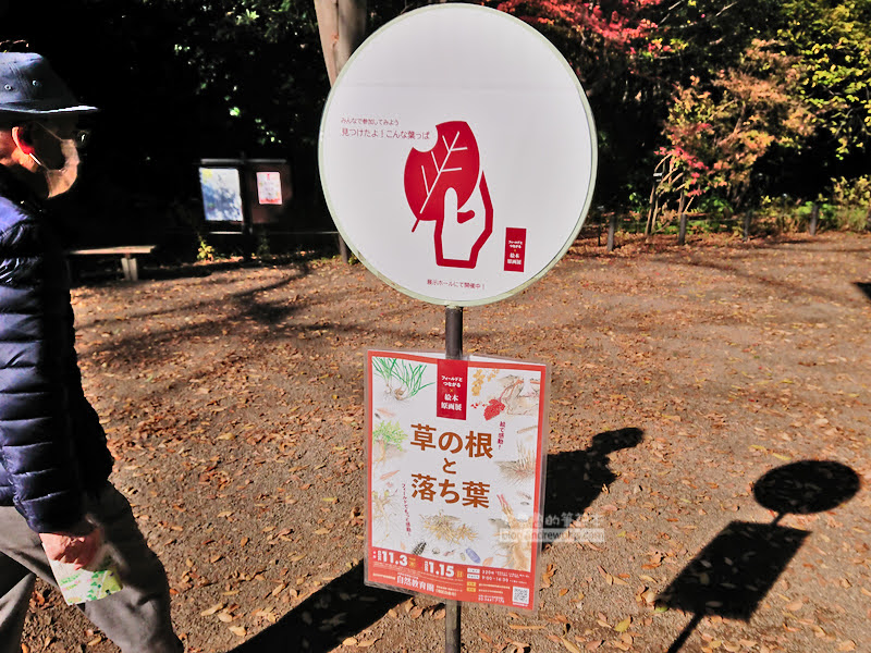 institute of nature study 05 - 國立科學博物館附屬自然教育園