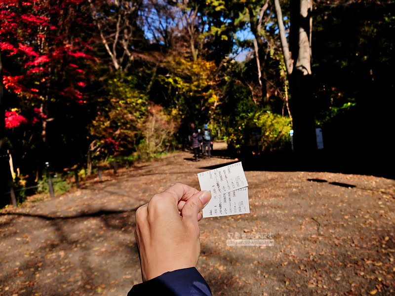 institute of nature study 06 - 國立科學博物館附屬自然教育園