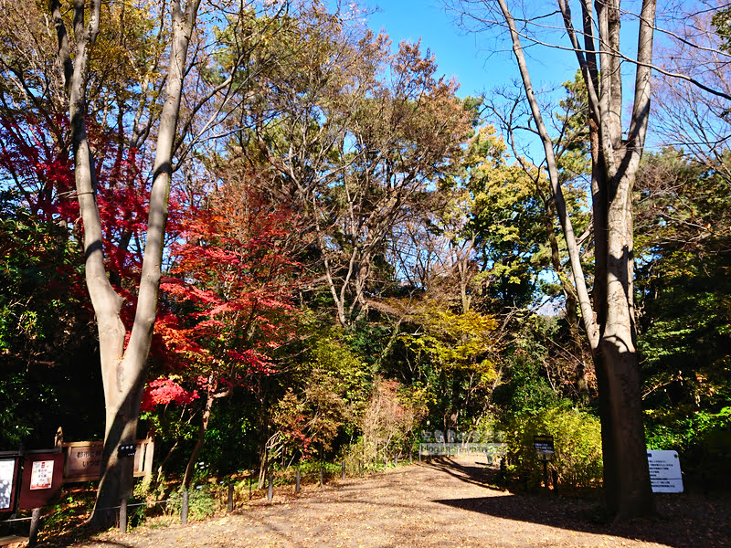 institute of nature study 07 - 國立科學博物館附屬自然教育園