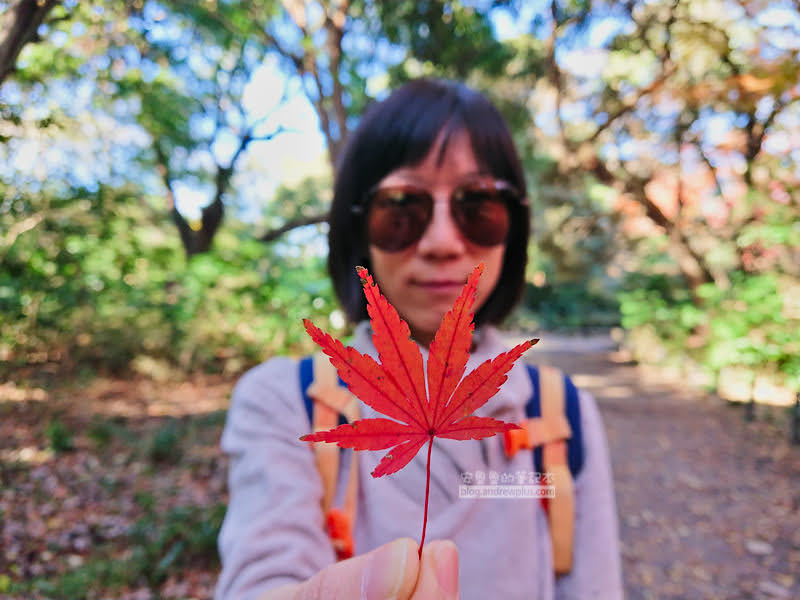 institute of nature study 14 - 國立科學博物館附屬自然教育園