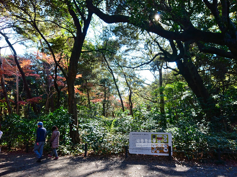 institute of nature study 16 - 國立科學博物館附屬自然教育園