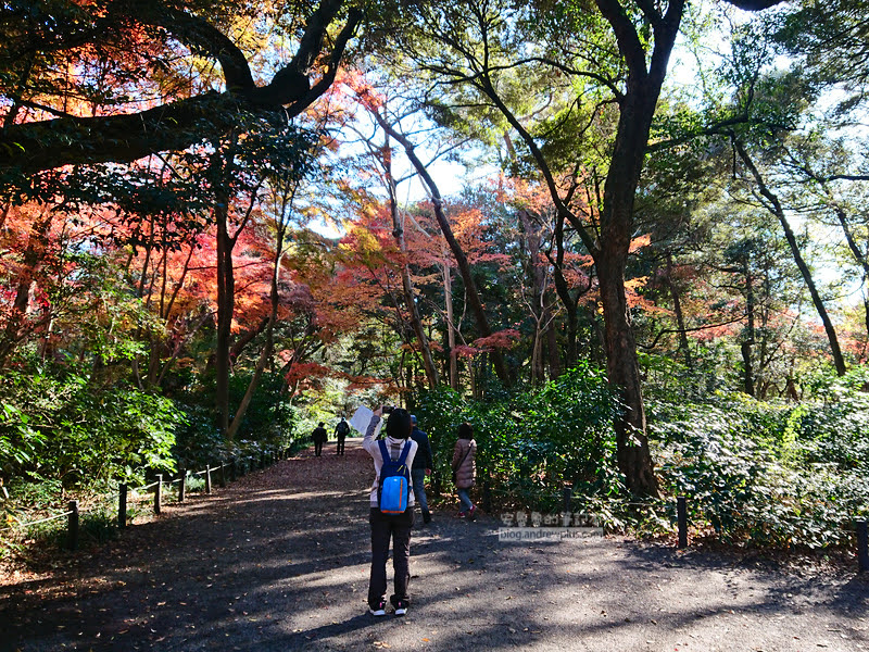 institute of nature study 17 - 國立科學博物館附屬自然教育園