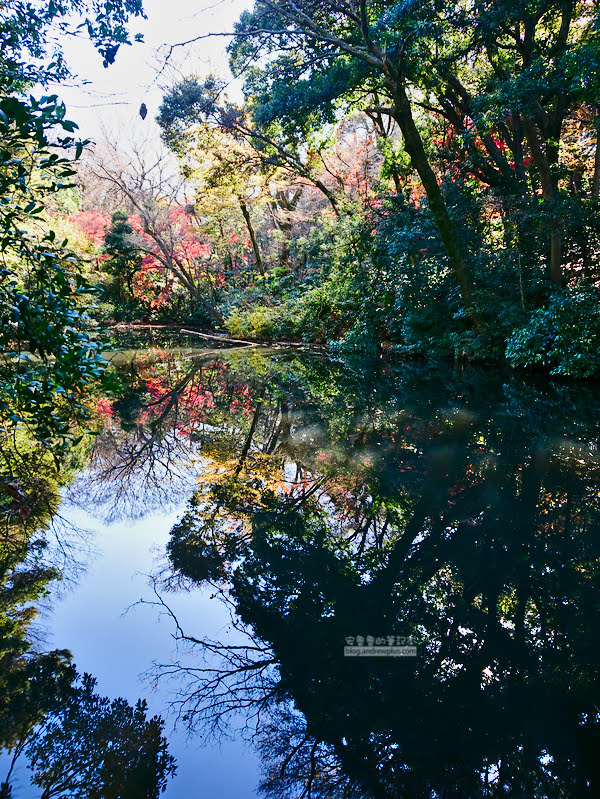institute of nature study 23 - 國立科學博物館附屬自然教育園
