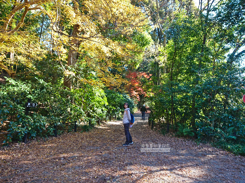 institute of nature study 24 - 國立科學博物館附屬自然教育園