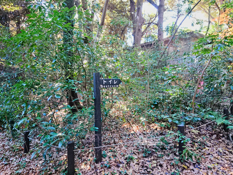 institute of nature study 36 - 國立科學博物館附屬自然教育園