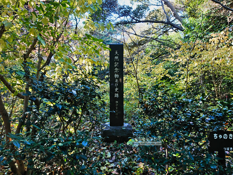 institute of nature study 39 - 國立科學博物館附屬自然教育園