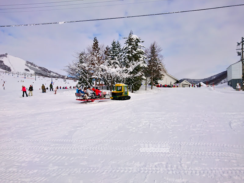 iwa ppara 33 - snowboard