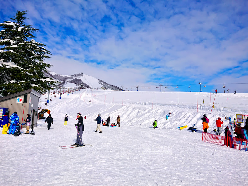 iwa ppara 34 - snowboard