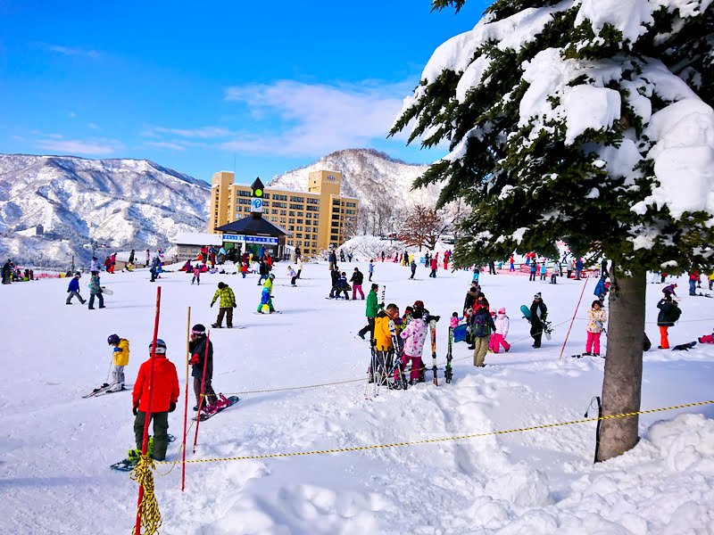 iwa ppara 38 - snowboard