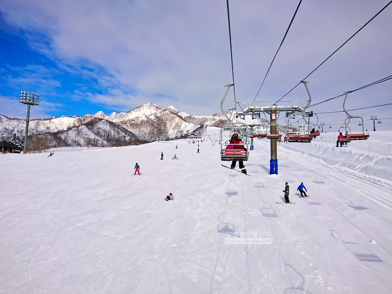 iwa ppara 40 - snowboard