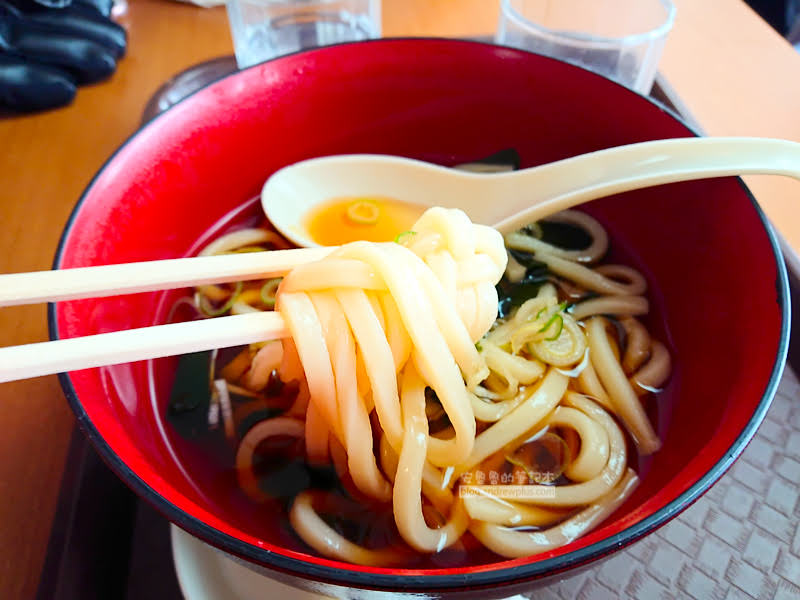 iwa ppara 47 - snowboard