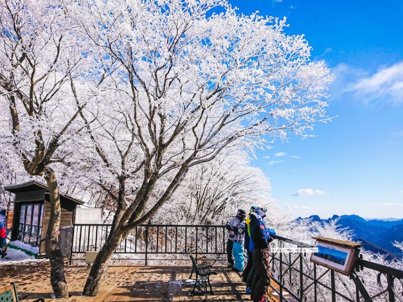 輕井澤王子飯店滑雪場完整攻略:交通、纜車票價、租雪具、購物吃美食,東京新幹線 1 小時抵達,輕井澤滑雪 1 karuizawa ski 26 - snowboard