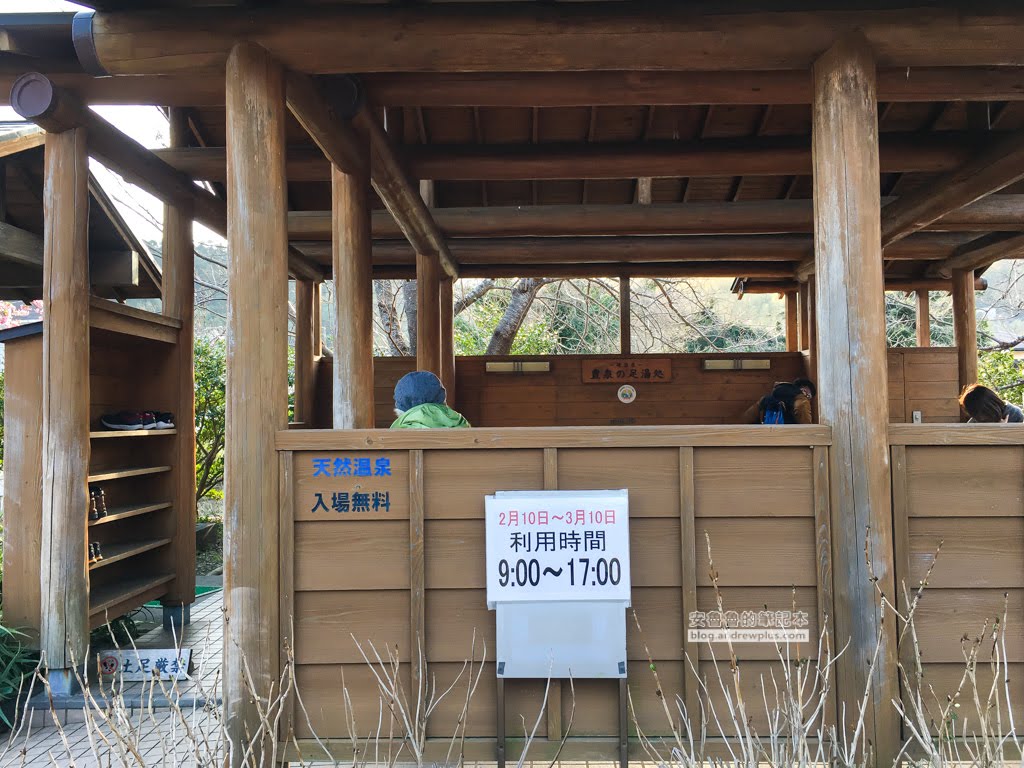 日本賞櫻,日本河津櫻,賞櫻景點