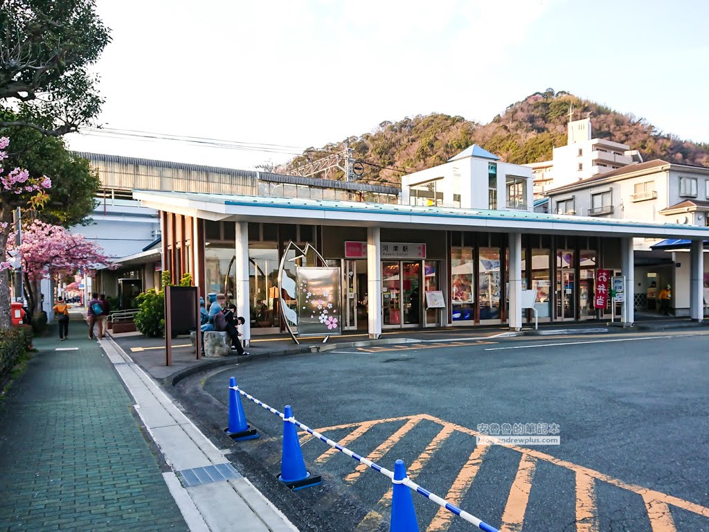 日本賞櫻,日本河津櫻,賞櫻景點