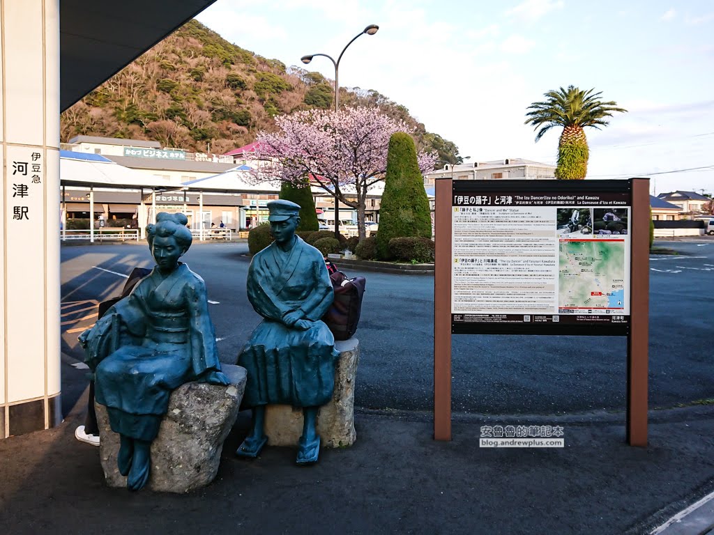 日本賞櫻,日本河津櫻,賞櫻景點