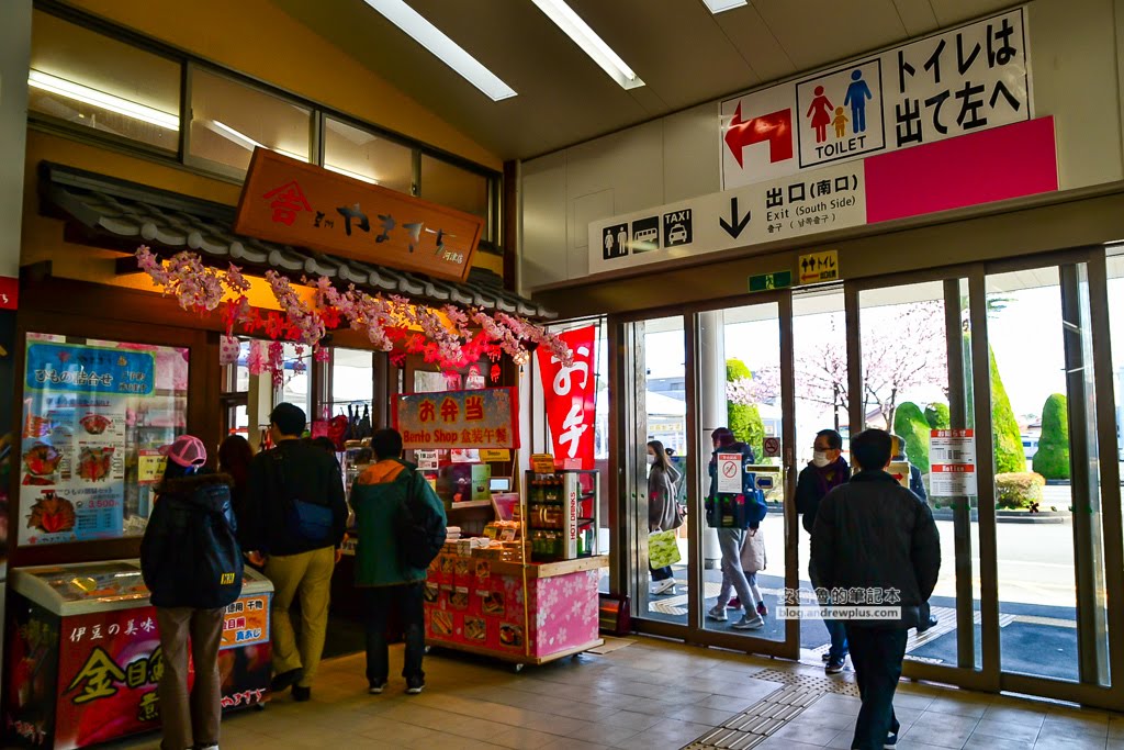 日本賞櫻,日本河津櫻,賞櫻景點
