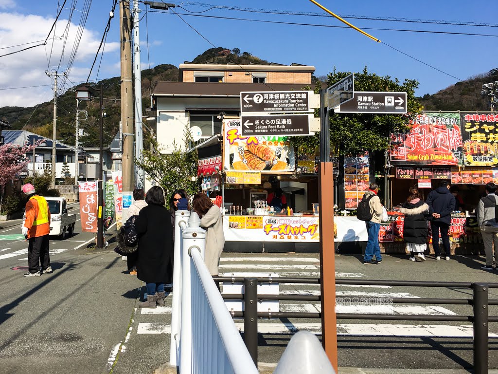 日本賞櫻,日本河津櫻,賞櫻景點
