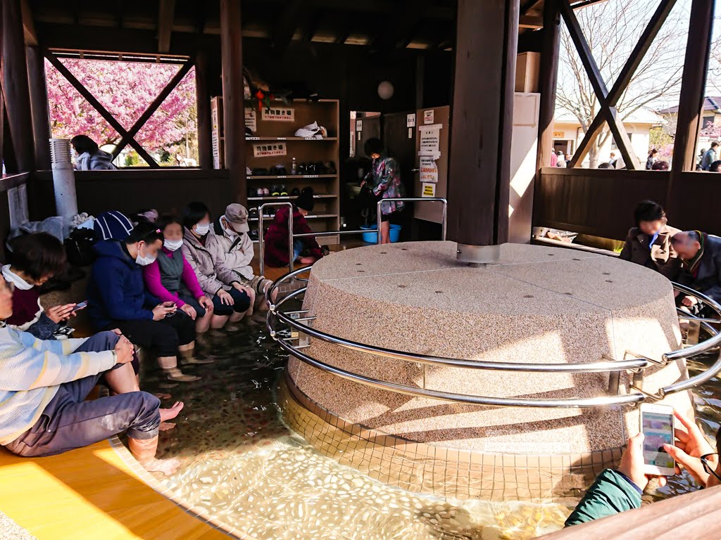 日本賞櫻,日本河津櫻,賞櫻景點