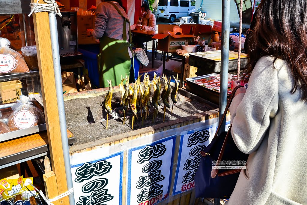 日本賞櫻,日本河津櫻,賞櫻景點