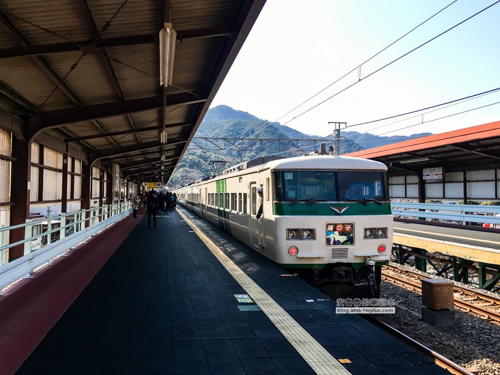 日本賞櫻,日本河津櫻,賞櫻景點