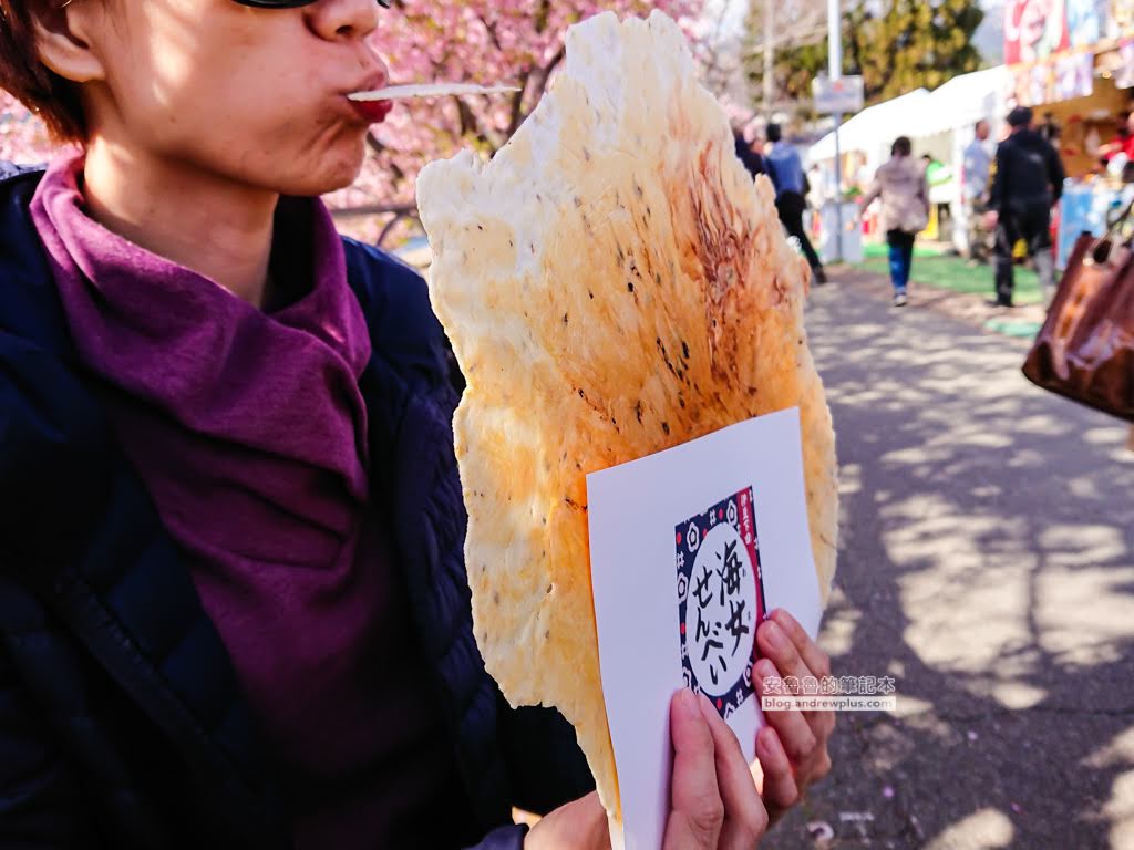 日本賞櫻,日本河津櫻,賞櫻景點