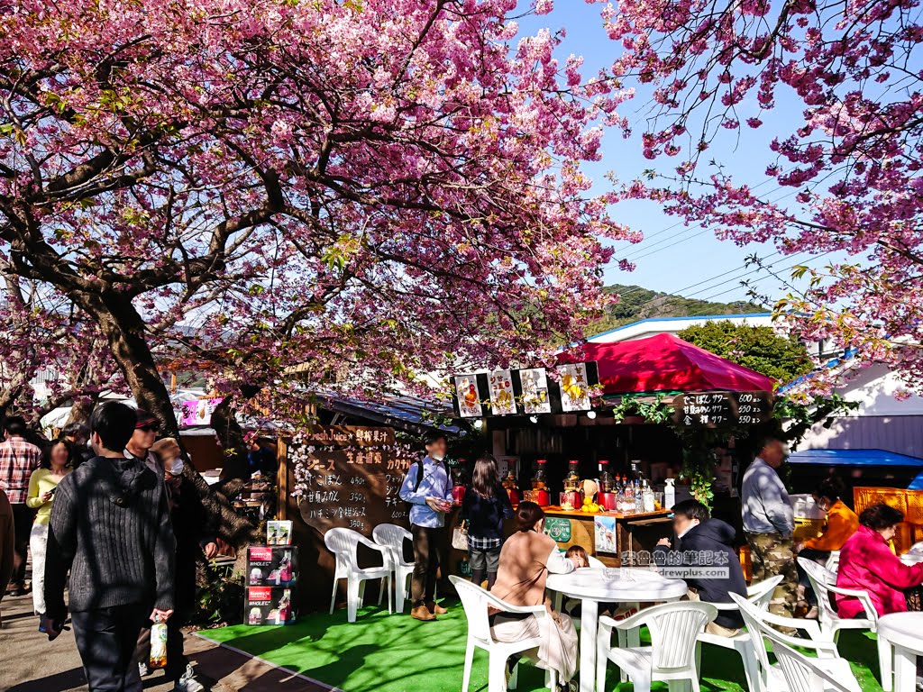 日本賞櫻,日本河津櫻,賞櫻景點