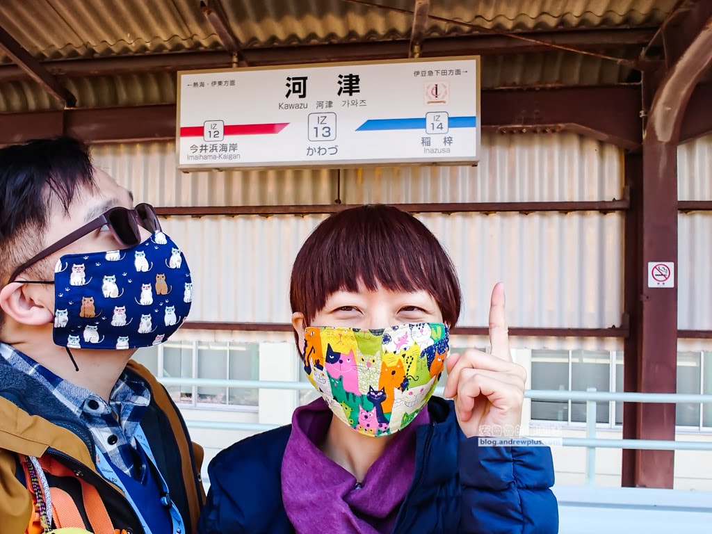 日本賞櫻,日本河津櫻,賞櫻景點