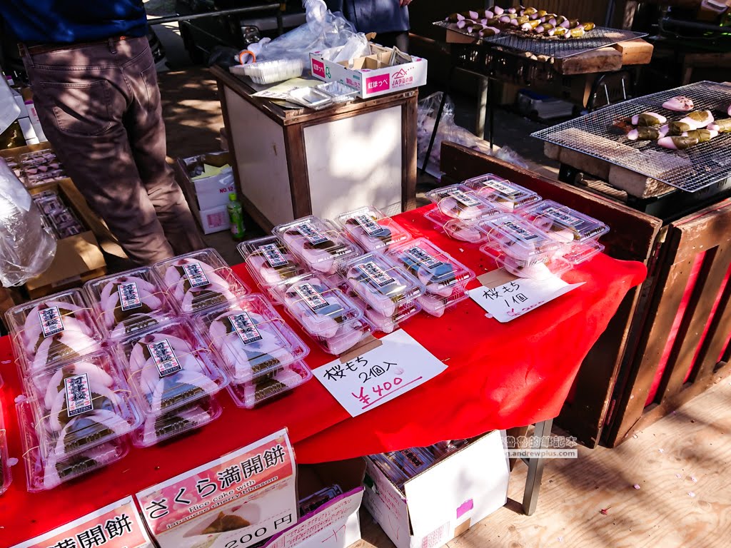 日本賞櫻,日本河津櫻,賞櫻景點