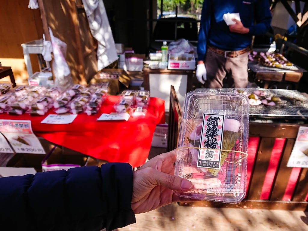 日本賞櫻,日本河津櫻,賞櫻景點