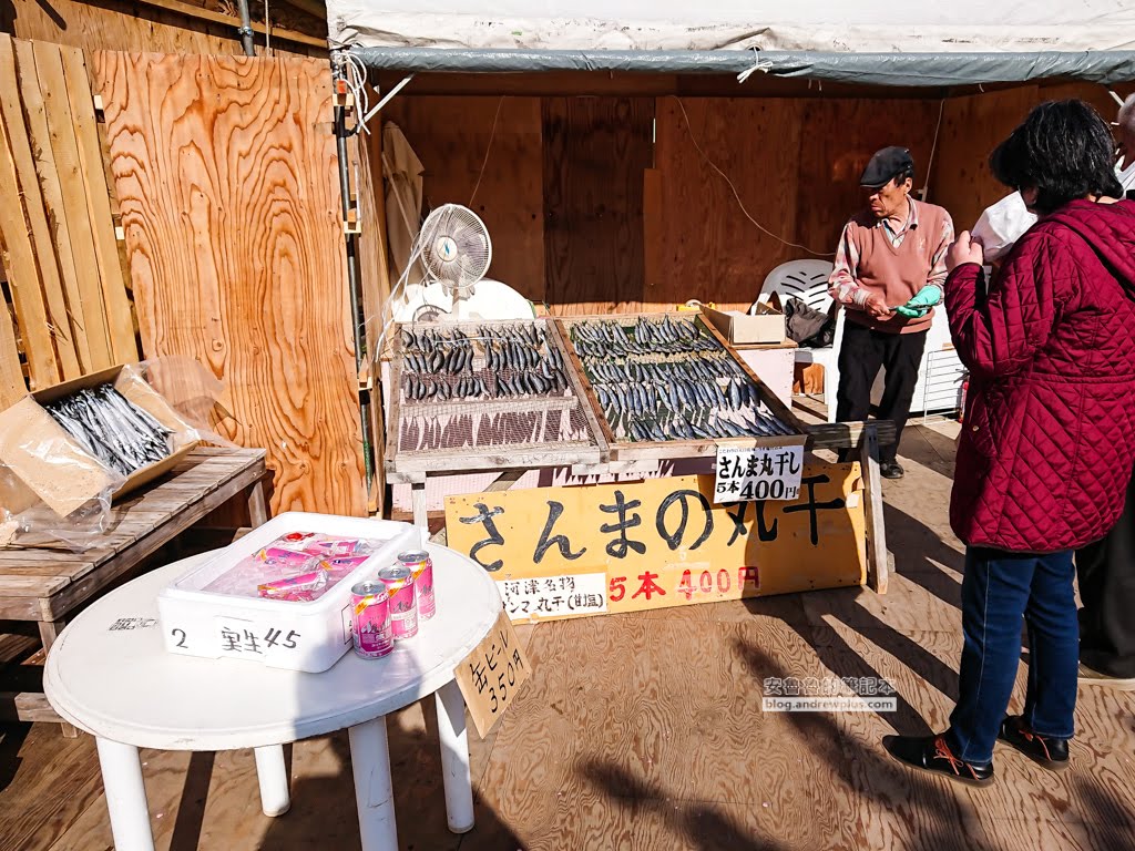 日本賞櫻,日本河津櫻,賞櫻景點
