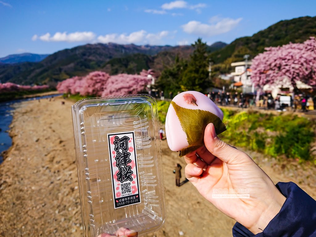 日本賞櫻,日本河津櫻,賞櫻景點
